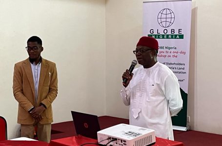 Stakeholders move to address land degradation, deforestation in Nigeria
