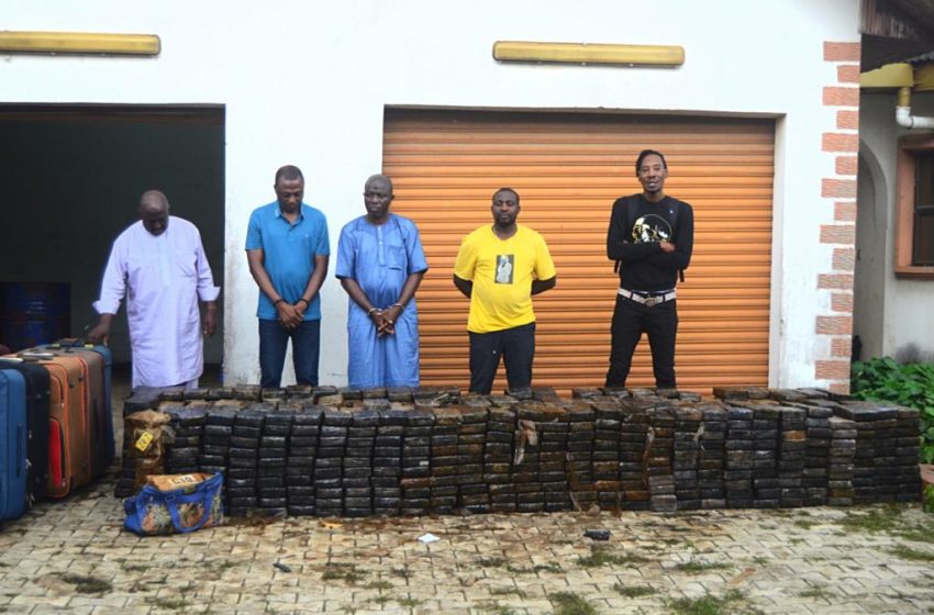  Nigeria’s Anti-narcotic Agency makes records breaking cocaine seizure